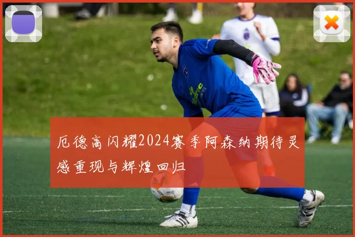 厄德高闪耀2024赛季阿森纳期待灵感重现与辉煌回归